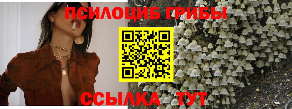 Ангарск  Галлюциногенные грибы мицелий  Псилоцибиновые грибы Magic Shrooms  Вход с VPN 